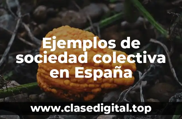 Ejemplos de sociedad colectiva en España