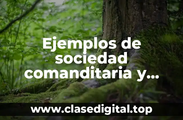 Ejemplos de sociedad comanditaria y Significado