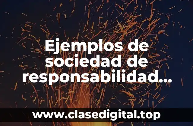 Ejemplos de sociedad de responsabilidad limitada