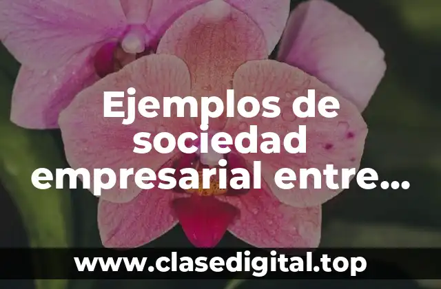 Ejemplos de sociedad empresarial entre tres socios