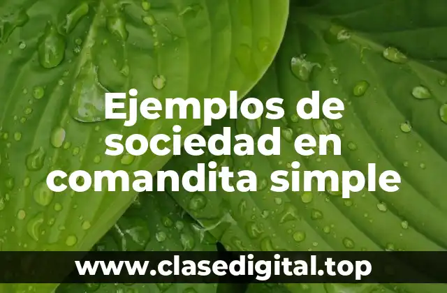 Ejemplos de sociedad en comandita simple