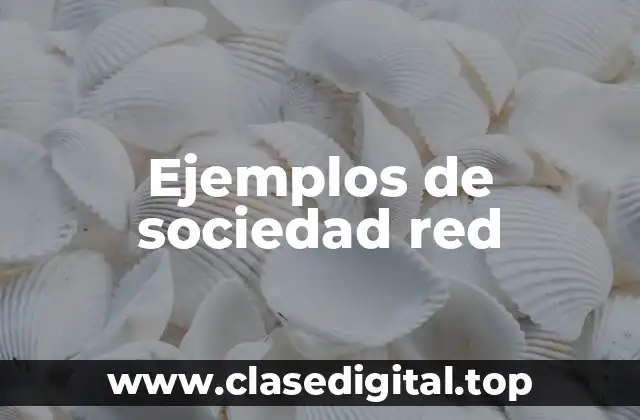Ejemplos de sociedad red