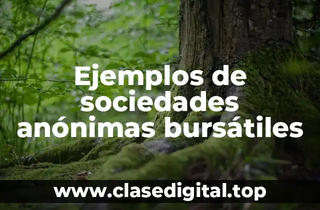 Ejemplos de sociedades anónimas bursátiles