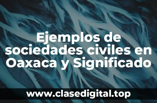 Ejemplos de sociedades civiles en Oaxaca y Significado