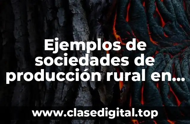 Ejemplos de sociedades de producción rural en México