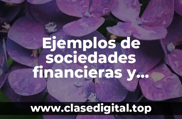 Ejemplos de sociedades financieras