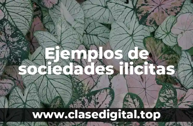 Ejemplos de sociedades ilicitas