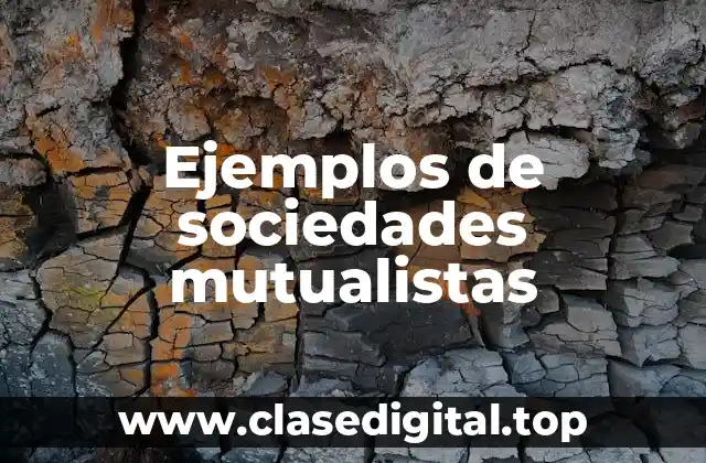 Ejemplos de sociedades mutualistas