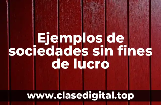 Ejemplos de sociedades sin fines de lucro