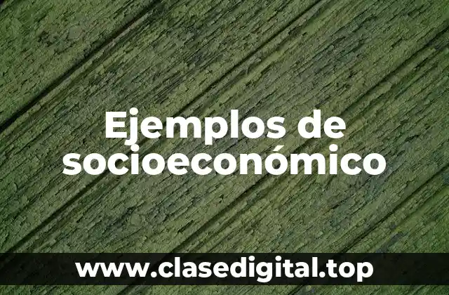 Ejemplos de socioeconómico