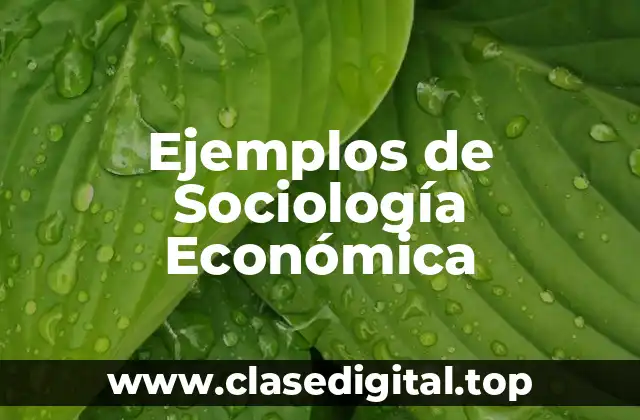 Ejemplos de Sociología Económica