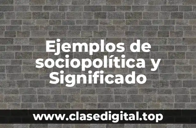 Ejemplos de sociopolítica