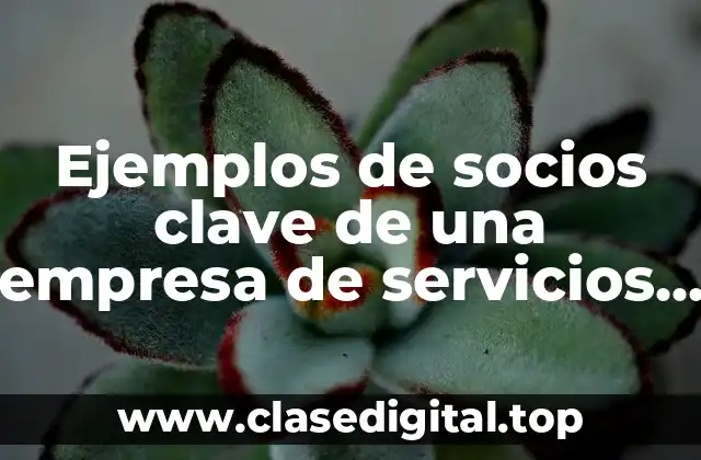 Ejemplos de socios clave de una empresa de servicios informáticos y Significado
