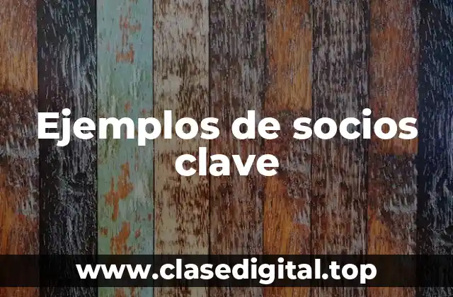 Ejemplos de socios clave