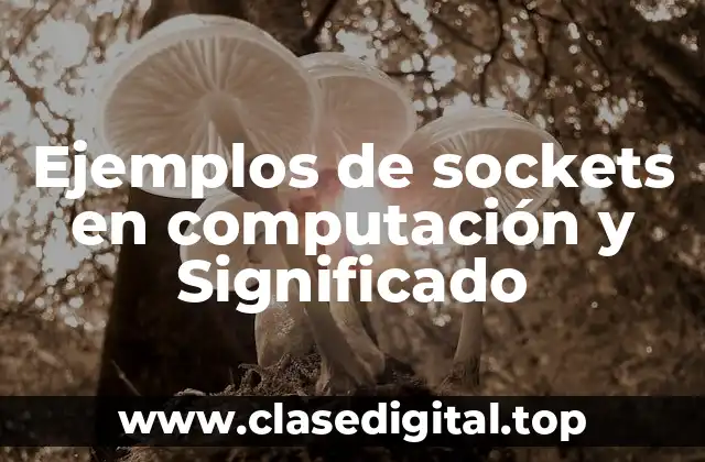 Ejemplos de sockets