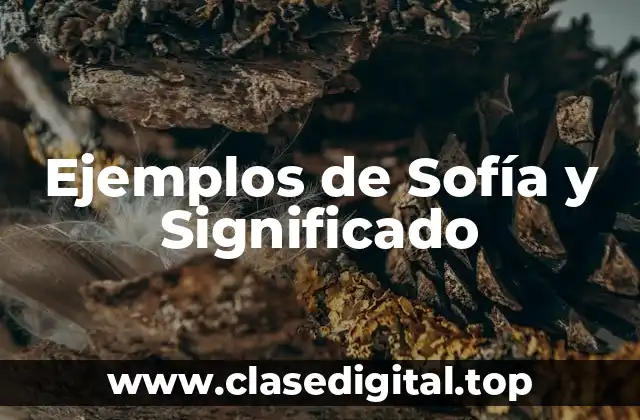 Ejemplos de Sofía y Significado