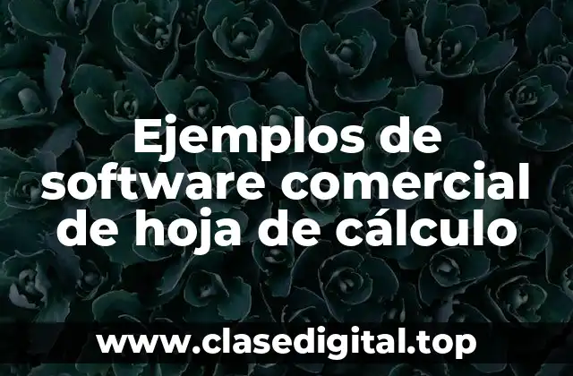 Ejemplos de software comercial de hoja de cálculo