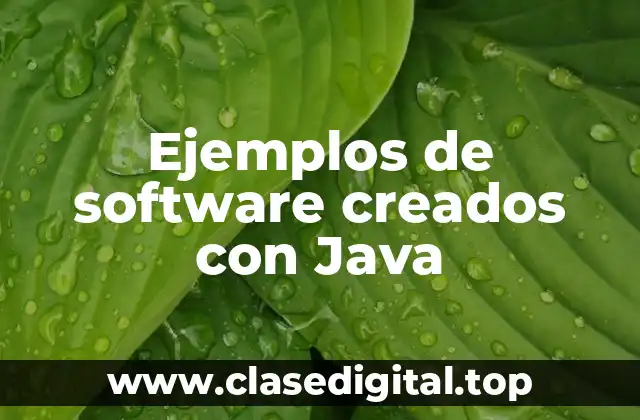 Ejemplos de software creados con Java