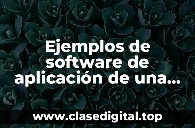 Ejemplos de software de aplicación de una computadora