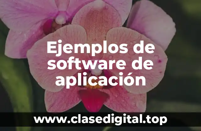 Ejemplos de software de aplicación