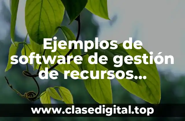 Ejemplos de software de gestión de recursos materiales y financieros