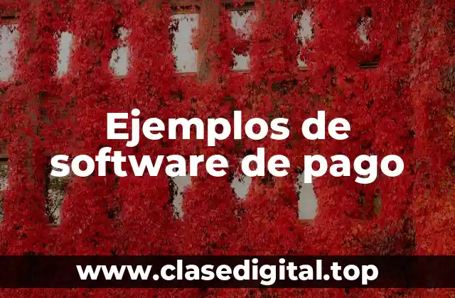 Ejemplos de software de pago
