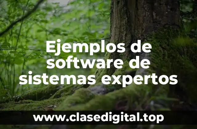 Ejemplos de software de sistemas expertos