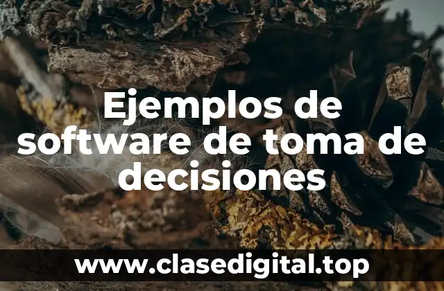 Ejemplos de software de toma de decisiones