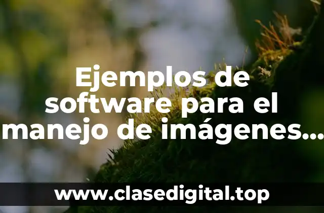 Ejemplos de software para el manejo de imágenes ISO
