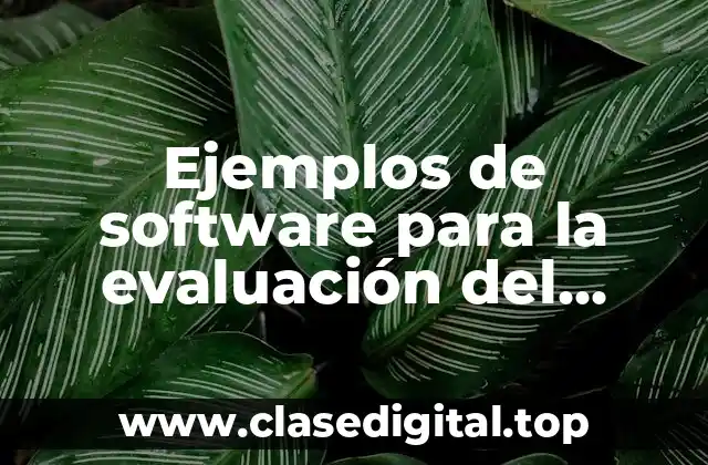 Ejemplos de software para la evaluación del desempeño