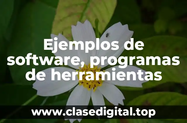 Ejemplos de software, programas de herramientas