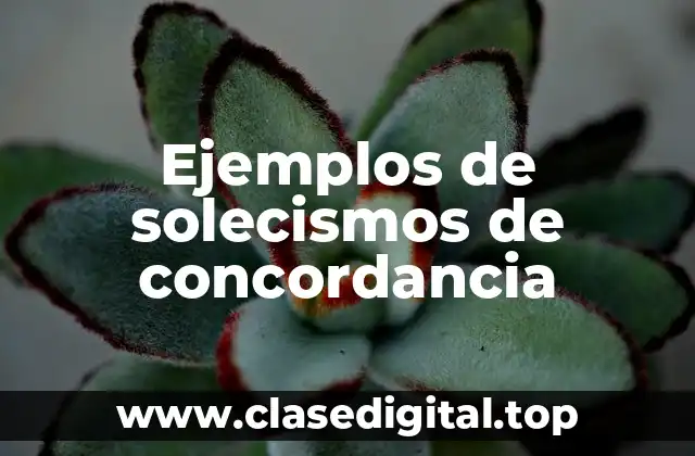 Ejemplos de solecismos de concordancia