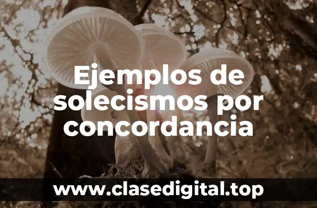 Ejemplos de solecismos por concordancia