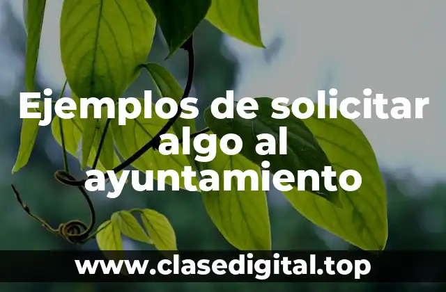 Ejemplos de solicitar algo al ayuntamiento