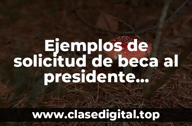 Ejemplos de solicitud de beca al presidente formalmente
