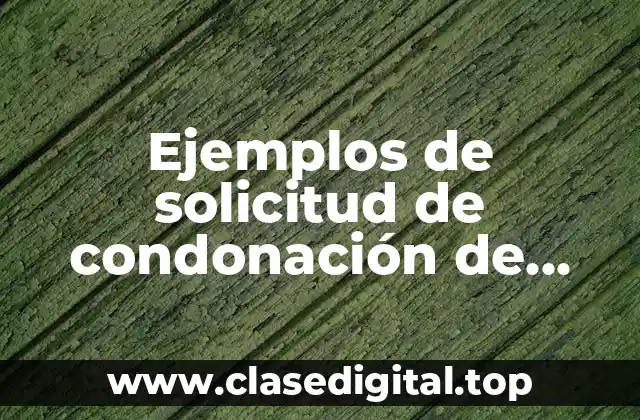 Ejemplos de solicitud de condonación de pago