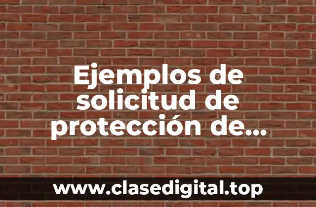 Ejemplos de solicitud de protección de derechos ante el INAI