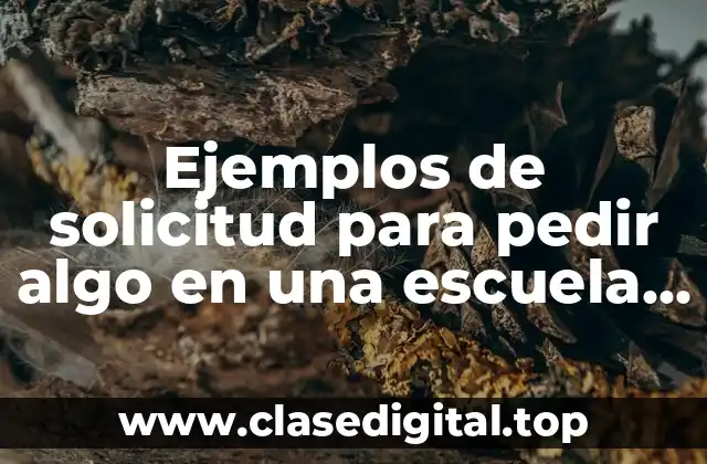Ejemplos de solicitud para pedir algo en una escuela itsmigra