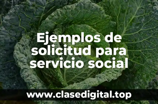 Ejemplos de solicitud para servicio social