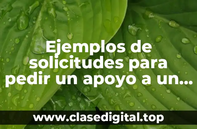 Ejemplos de solicitudes para pedir un apoyo a un presidente