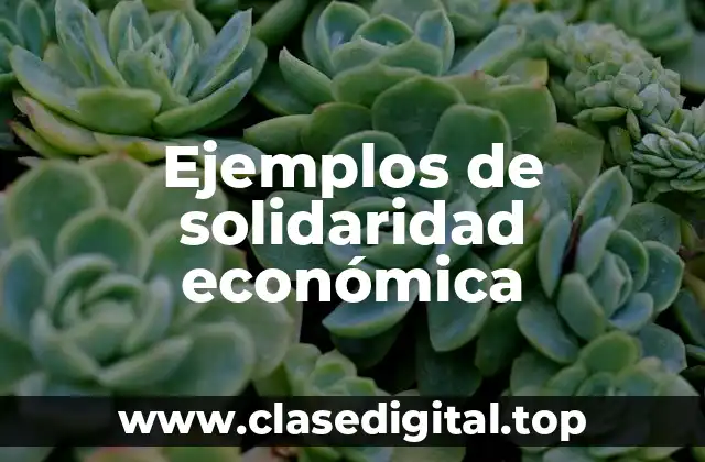 Ejemplos de solidaridad económica