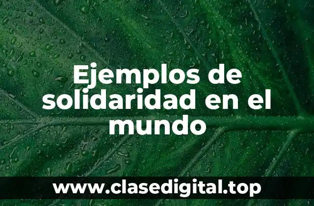 Ejemplos de solidaridad en el mundo