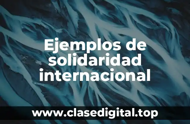 Ejemplos de solidaridad internacional