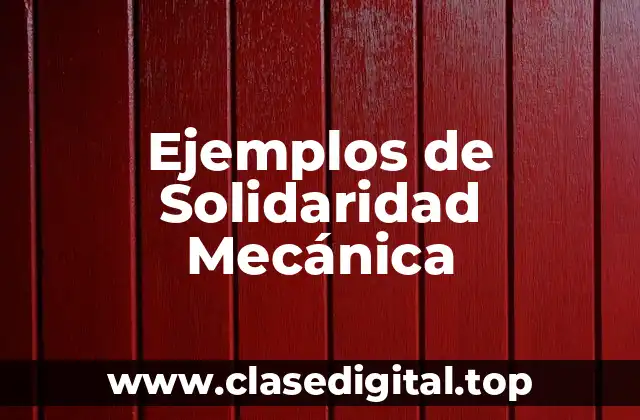 Ejemplos de Solidaridad Mecánica