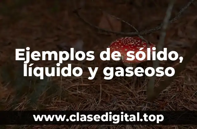 Ejemplos de sólido, líquido y gaseoso