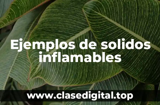 Ejemplos de solidos inflamables