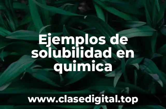 Ejemplos de solubilidad en química