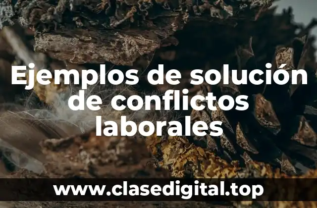 Ejemplos de solución de conflictos laborales