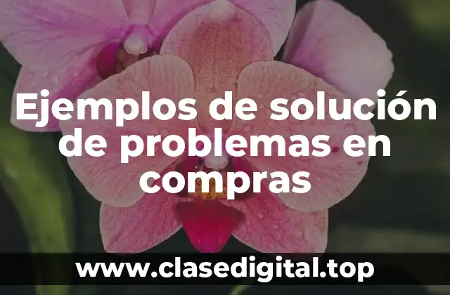 Ejemplos de solución de problemas en compras
