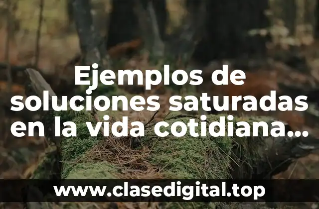 Ejemplos de soluciones saturadas